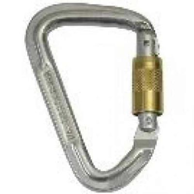 Alloy Karabiner D Screw Gate